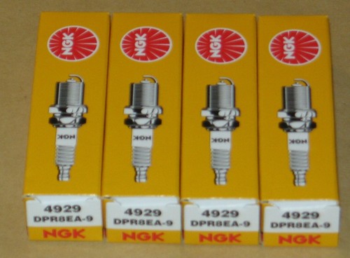Zündkerzen ngk für honda - zündkerzen,
